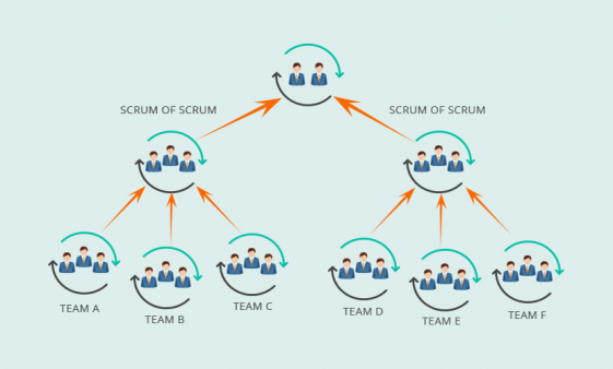 An Introduction To Scrum Of Scrums - Quickscrum