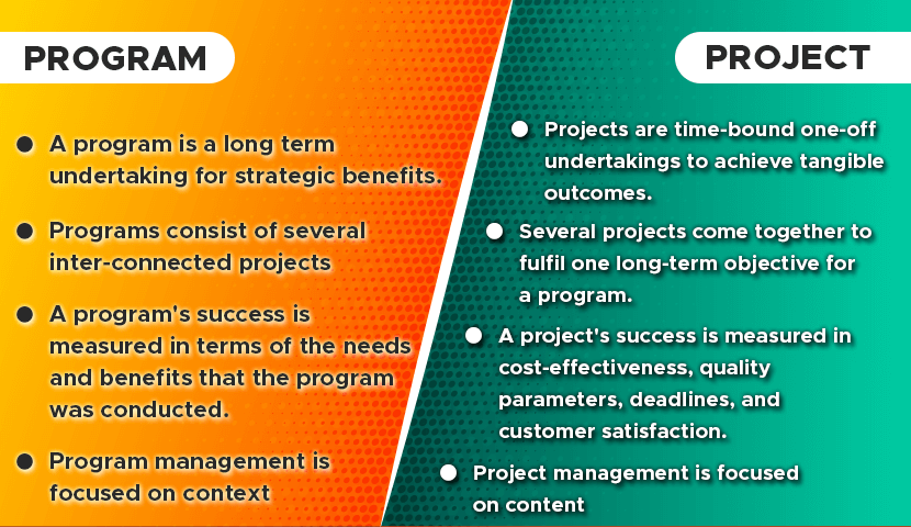 Program vs Project